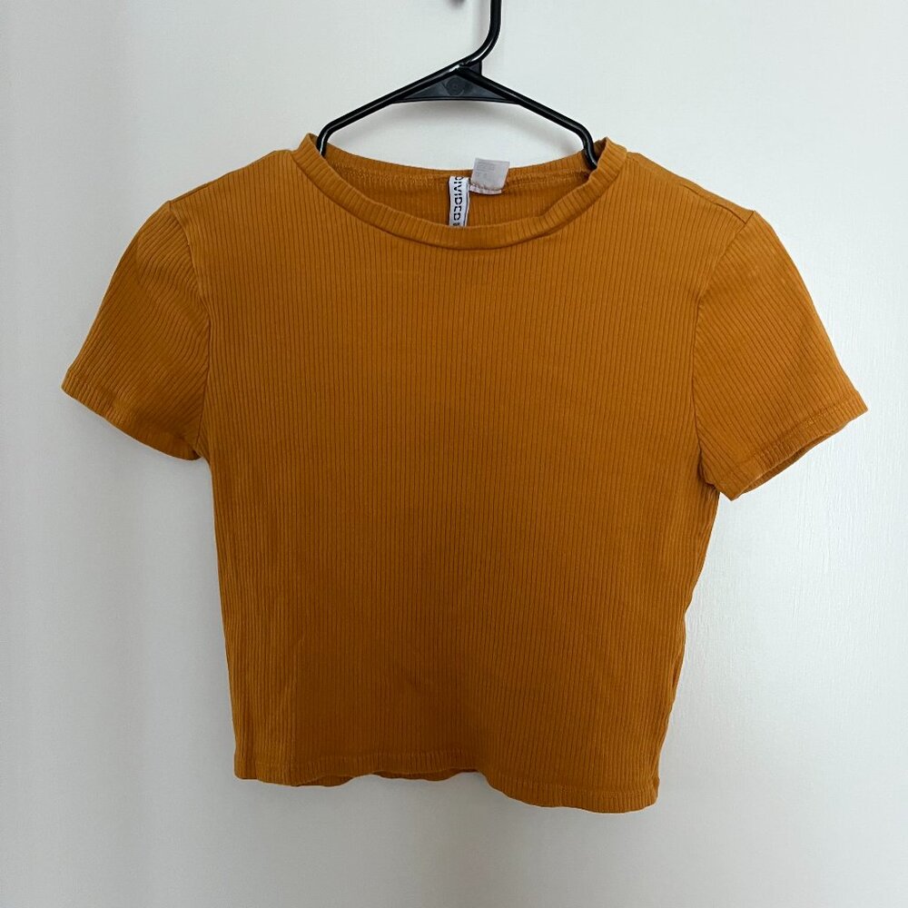 Divided Crop Top